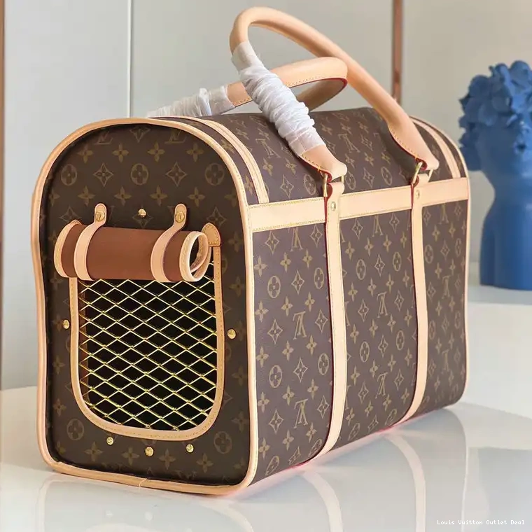 Hot sale LV 2112FY0048 Bag 0221