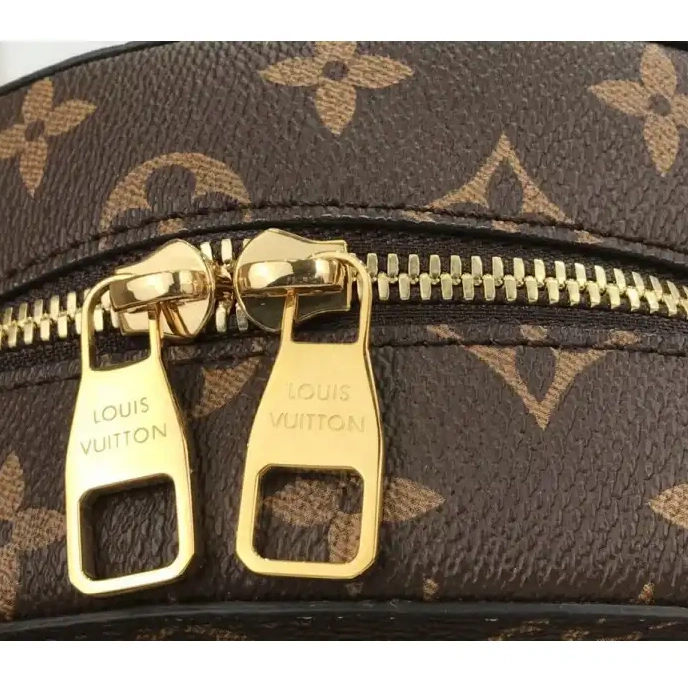 Hot sale 205fy0022 LV Bags 0221